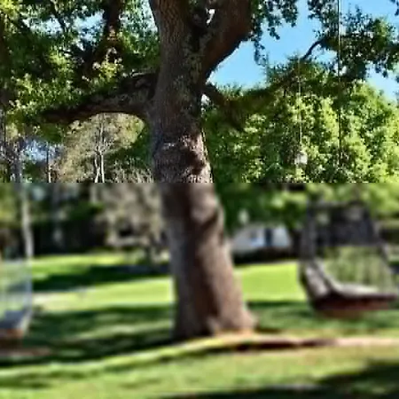 Tenuta Monacelle 4* مونوبولي